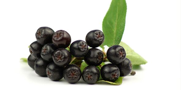 Φρούτα από μαύρη τέφρα του βουνού χρήσιμοι για τον διαβήτη